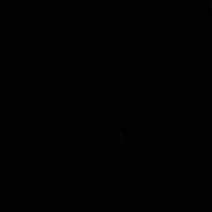 Meet your Posher, Kayra